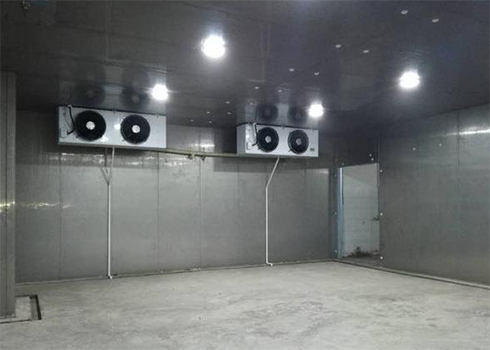 氣調(diào)冷庫建造廠家 氣調(diào)冷庫建造廠家