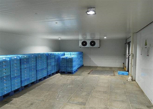 氣調(diào)冷庫建造安裝 氣調(diào)冷庫建造安裝