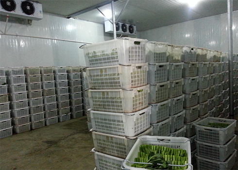 果蔬保鮮庫安裝造價 果蔬保鮮庫安裝造價