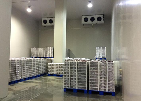 食品冷庫安裝多少錢？