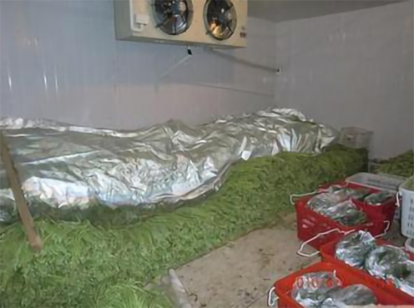 茶葉低溫冷藏庫建造 茶葉低溫冷藏庫建造