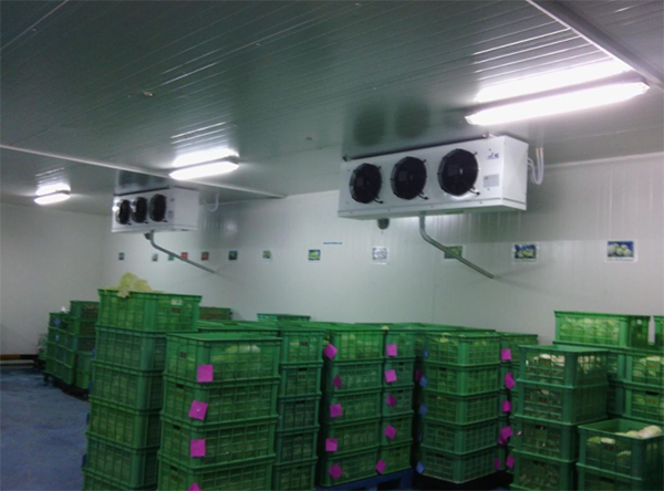 低溫生鮮儲(chǔ)藏冷庫 低溫生鮮儲(chǔ)藏冷庫