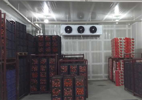 酒店低溫冷藏庫(kù)安裝價(jià)格 酒店低溫冷藏庫(kù)安裝價(jià)格