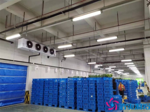 海鮮水產(chǎn)低溫冷凍庫 海鮮水產(chǎn)低溫冷凍庫