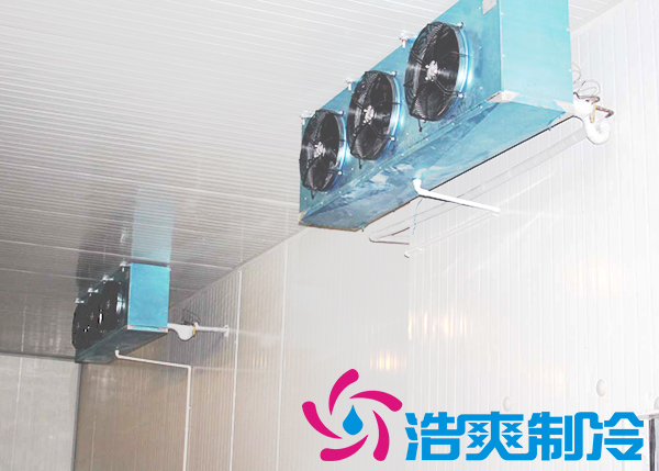 建造安裝5000㎡雞排低溫冷藏庫(kù)造價(jià)費(fèi)用是多少？