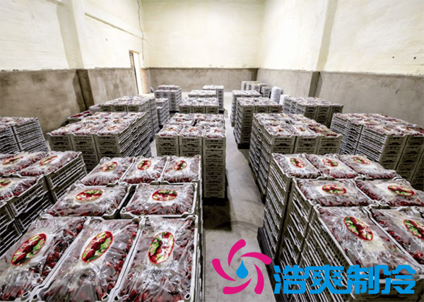 櫻桃氣調(diào)建造完成后有哪些儲(chǔ)存方法和步驟？_浩爽制冷