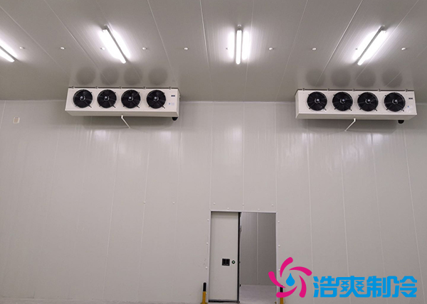 建造一間800立方米種子研究中心冷庫安裝造價多少錢？