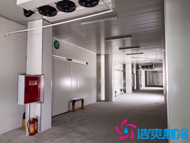 芭蕉氣調(diào)保鮮庫安裝如何確保果實的長期儲存？_浩爽制冷