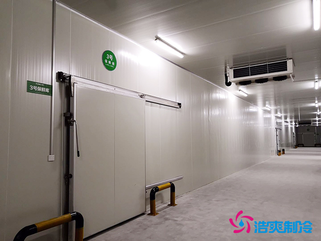 芭蕉氣調(diào)保鮮庫安裝如何確保果實的長期儲存？_浩爽制冷