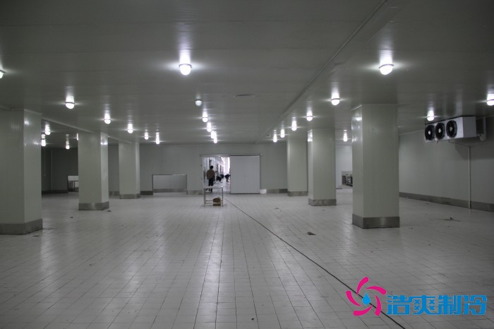 江蘇1500㎡農(nóng)產(chǎn)品低溫冷藏冷凍庫工程