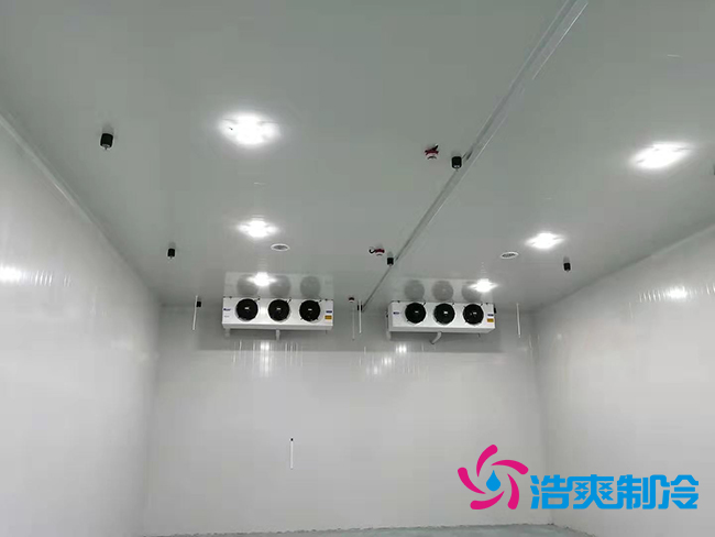 超低溫凍庫(kù)建設(shè)價(jià)格與哪些因素有關(guān)？_浩爽制冷