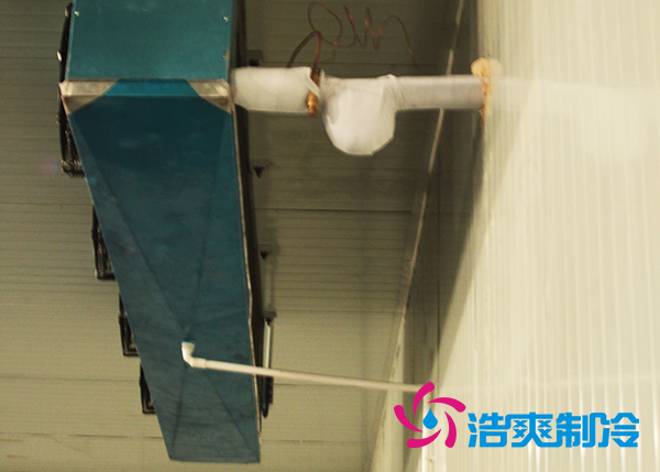 鮮花冷庫建造設(shè)計(jì)方案及鮮花存儲(chǔ)方法_浩爽制冷 鮮花冷庫建造設(shè)計(jì)方案及鮮花存儲(chǔ)方法_浩爽制冷