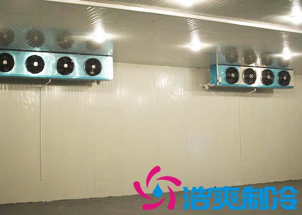 鮮花冷庫建造設(shè)計(jì)方案及鮮花存儲(chǔ)方法_浩爽制冷 鮮花冷庫建造設(shè)計(jì)方案及鮮花存儲(chǔ)方法_浩爽制冷
