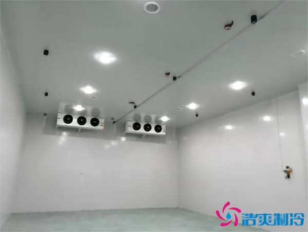 食品冷凍庫建造需要多少成本？_浩爽制冷