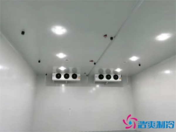 茄子氣調(diào)冷庫安裝存儲方法_浩爽制冷 茄子氣調(diào)冷庫安裝存儲方法_浩爽制冷
