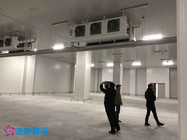 建造一間鳳梨保鮮冷庫費(fèi)用需要多少錢？_浩爽制冷