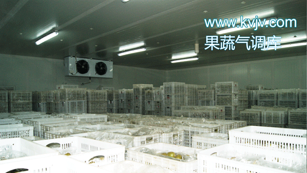 衢州蜜之源果業(yè)氣調(diào)保鮮冷庫建造工程 衢州蜜之源果業(yè)氣調(diào)保鮮冷庫建造工程