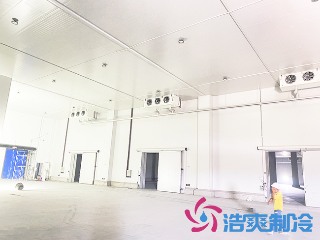 海南建造一個(gè)冷庫需要多少錢？_浩爽制冷