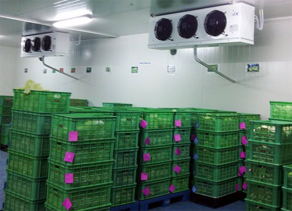 建一個垃圾冷庫要多少錢？_浩爽制冷