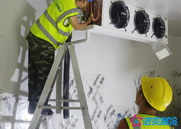 500立方米冷庫造價多少錢？配置多大匹數(shù)的機組-浩爽制冷