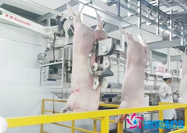 屠宰場建造200噸豬肉排酸冷庫安裝造價多少錢？-浩爽制冷