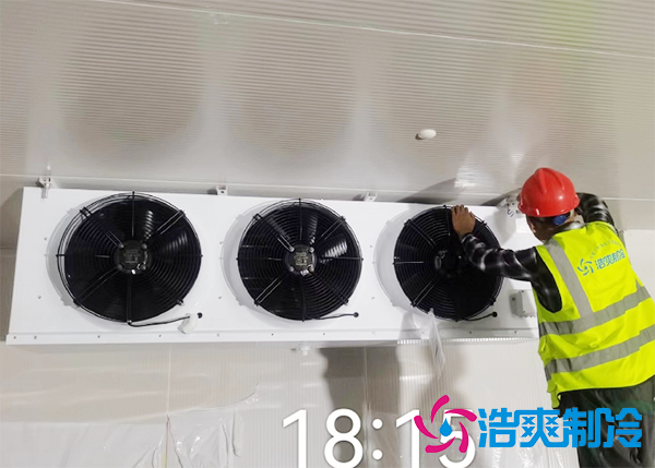 水果批發(fā)市場(chǎng)建造水果保鮮冷庫(kù)報(bào)價(jià)大概需要多少錢(qián)？-浩爽制冷