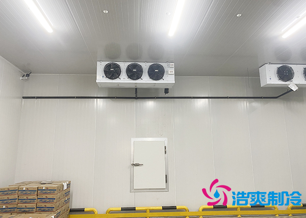 建一個水果催熟庫安裝價格大概多少錢？-浩爽制冷