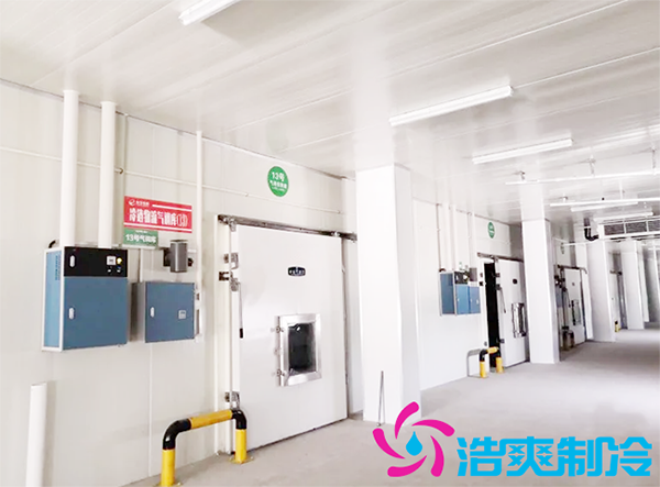 建一個(gè)冷庫安裝成本費(fèi)用需要多少錢？-浩爽制冷