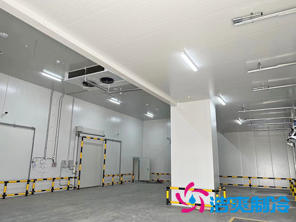 建一個(gè)2000平方米的大型冷庫(kù)需多少錢？-浩爽制冷