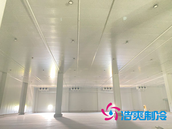 建一個(gè)100平方的乳制品冷凍庫(kù)要多少錢？