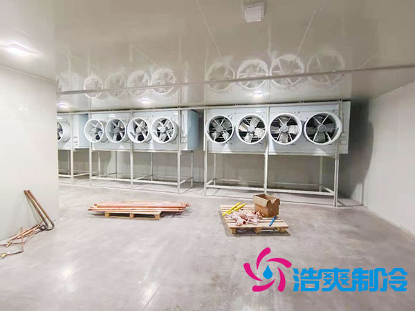 100平方米蔬菜保鮮冷庫造價多少錢？-浩爽制冷
