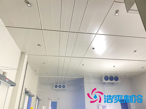 大型冷庫建設(shè)多少錢一平方？