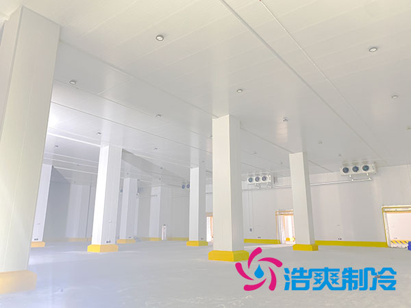 浙江肉類(lèi)速凍庫(kù)建造大概多少錢(qián)？-浩爽制冷
