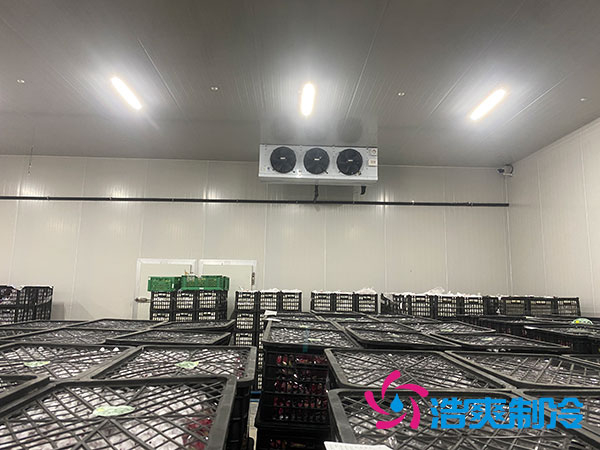 嘉定雞蛋冷庫安裝建造多少錢？-浩爽制冷