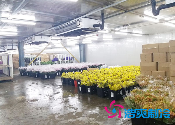 做個(gè)鮮花冷庫要多少錢？-浩爽制冷