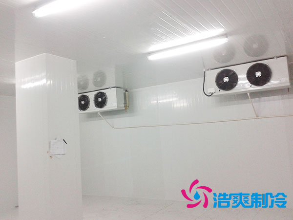 佛山雪糕冷凍庫價格多少錢？-浩爽制冷