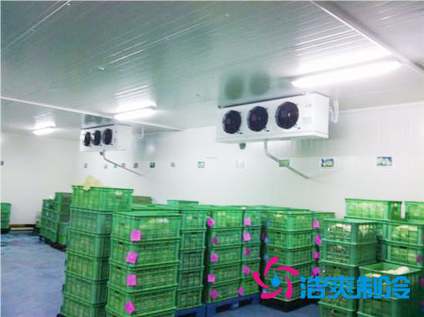 茶葉冷庫造價多少一平方米？-浩爽制冷