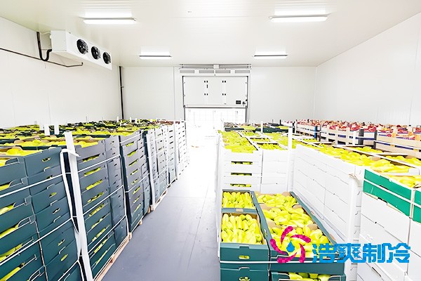 水果催熟冷庫安裝造價(jià)