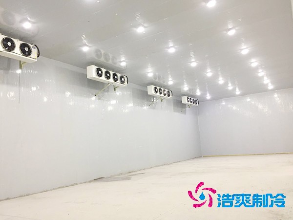 100噸蔬菜保鮮冷庫造價