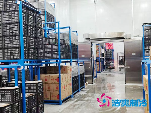 生鮮冷鏈物流冷庫建造價(jià)格