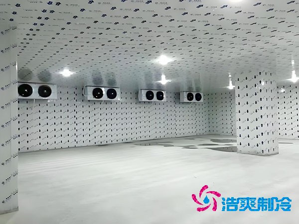 江蘇地區(qū)100平米低溫冷庫造價預算解析-浩爽制冷