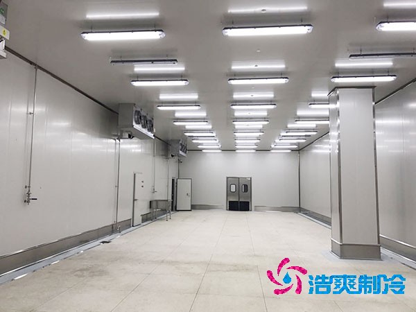 建造1000平方米大型海鮮冷庫的造價問題及全面解析