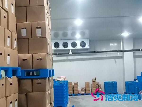 建造魚糜制品低溫冷庫的費(fèi)用及其重要性