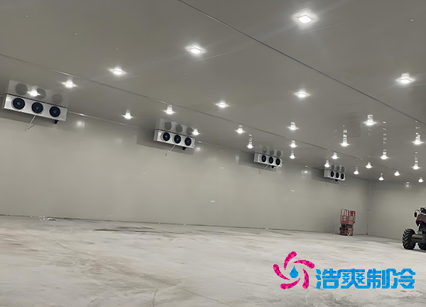 -18℃凍肉能放半年？揭秘食品冷庫造價秘密！-浩爽制冷