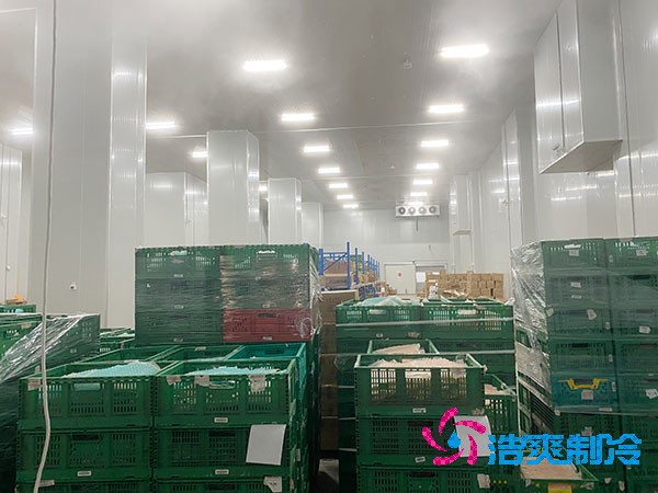 夏季蔬菜保鮮難？500噸冷庫建造價格揭秘！