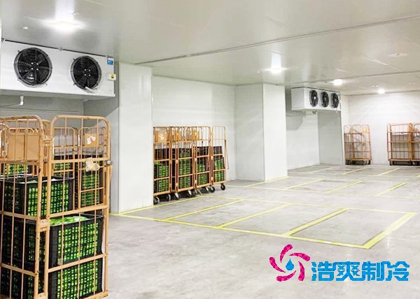 玉米冷庫(kù)造價(jià)