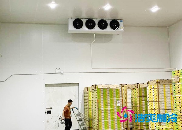 玉米冷庫(kù)造價(jià)