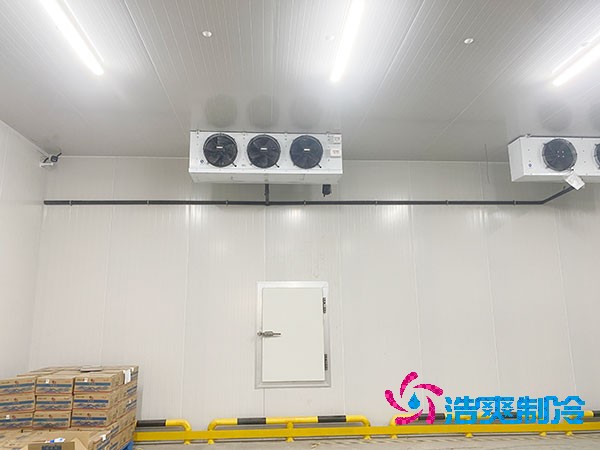 建造茭白保鮮庫造價及需求分析