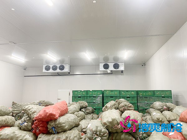 如何為時令蔬菜建造一個合適的冷庫？造價成本多少錢？-浩爽制冷