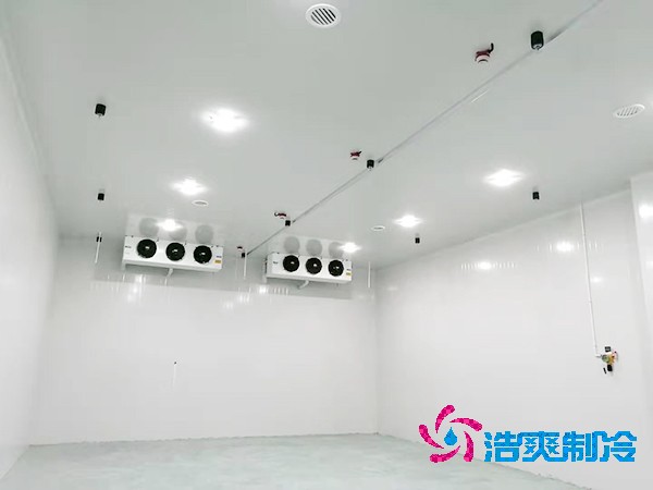 冷凍魚肉冷庫造價(jià)